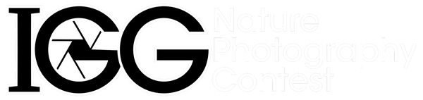 IGG Nature Photography Contest